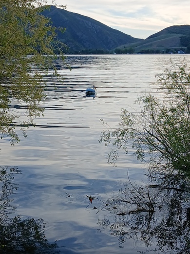Uinta-Wasatch-Cache National Forest