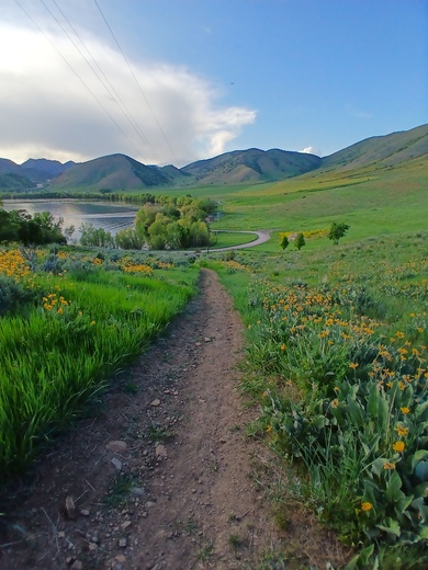 Uinta-Wasatch-Cache National Forest