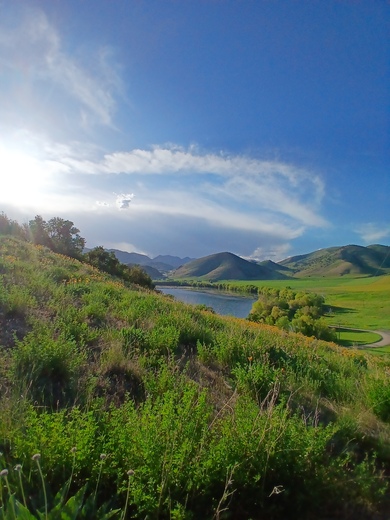 Uinta-Wasatch-Cache National Forest