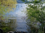 Uinta-Wasatch-Cache National Forest