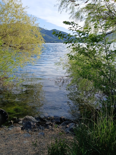 Uinta-Wasatch-Cache National Forest