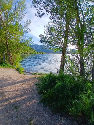 Uinta-Wasatch-Cache National Forest