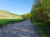 Uinta-Wasatch-Cache National Forest