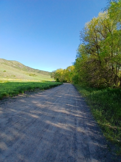 Uinta-Wasatch-Cache National Forest