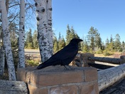 Bryce Canyon National Park