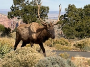 Grand Canyon National Park