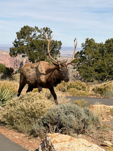 Grand Canyon National Park