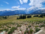 Mt Rainier National Park