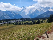 Mt Rainier National Park