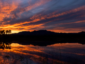 Bosque del Apache National Wildlife Refuge