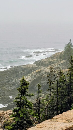 Acadia National Park 
