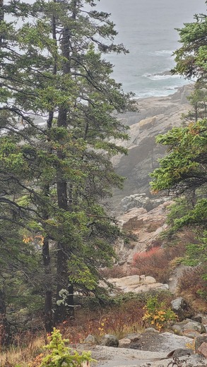 Acadia National Park 