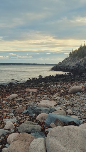 Acadia National Park 