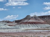 Petrified Forest National Park