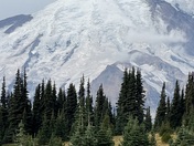 Mt Rainier National Park