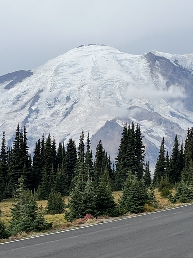 Mt Rainier National Park