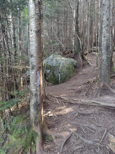 Great Smoky Mountains National Park 