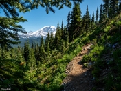 Mount Baker Snoqualmie National Forest 