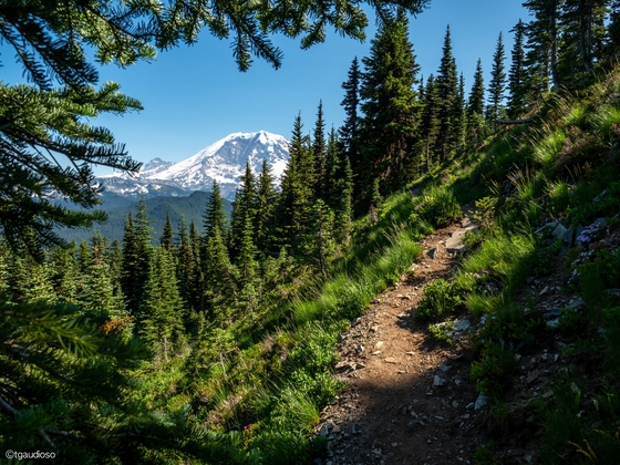 Mount Baker Snoqualmie National Forest 