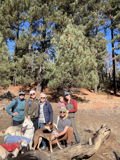 Cleveland National Forest