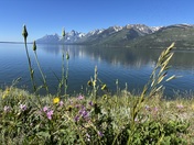 Grand Teton National Park