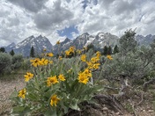Grand Teton National Park 