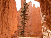 Bryce Canyon National Park 