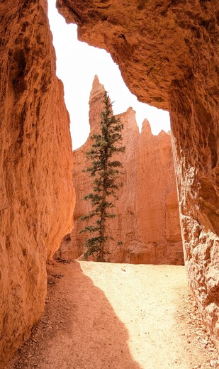 Bryce Canyon National Park 