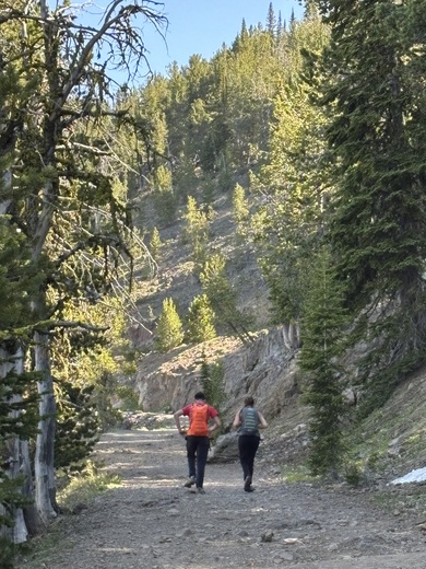 Yellowstone National Park 