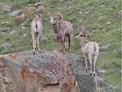 Grand Teton National Park 