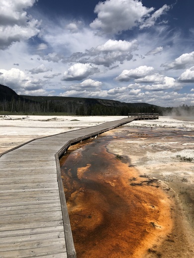 Yellowstone National Park