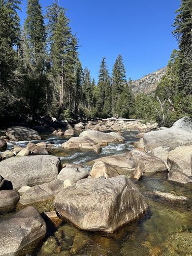 Kings Canyon National Park