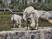 Glacier National Park