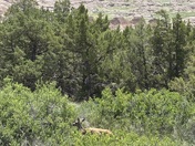 Badlands National Park 