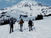 Mount Rainier National Park