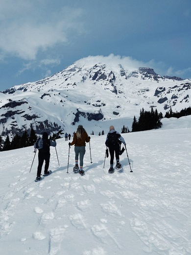Mount Rainier National Park