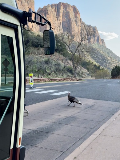 Zion National Park
