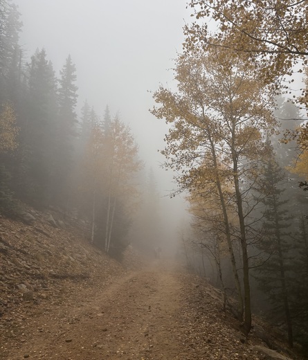 Santa Fe National Forest
