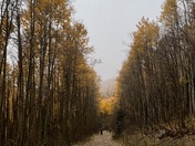 Santa Fe National Forest