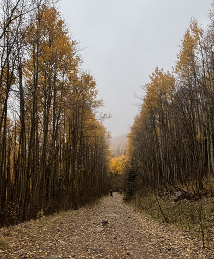 Santa Fe National Forest