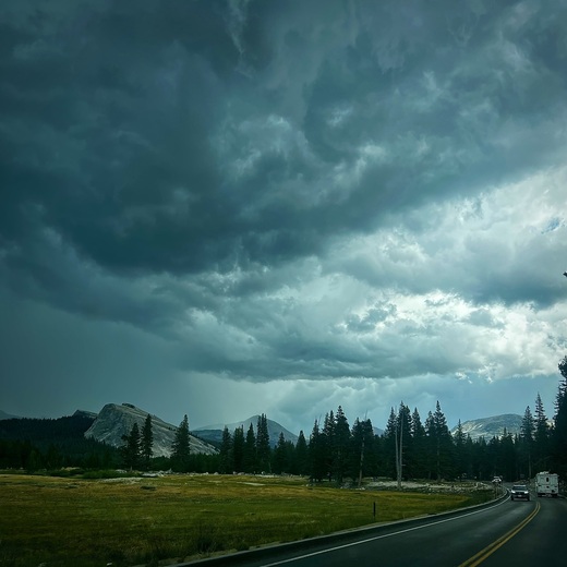 Yosemite National Park 