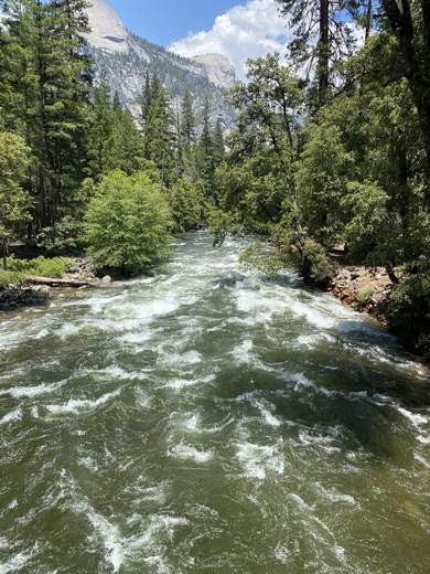 Yosemite National Park 