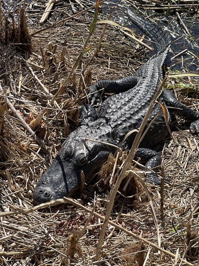Everglades National Park