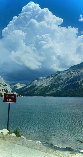 Yosemite National Park 