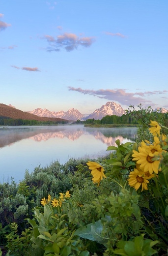 Oxbow Bend, Grand Teton National Park