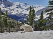 Glacier National Park