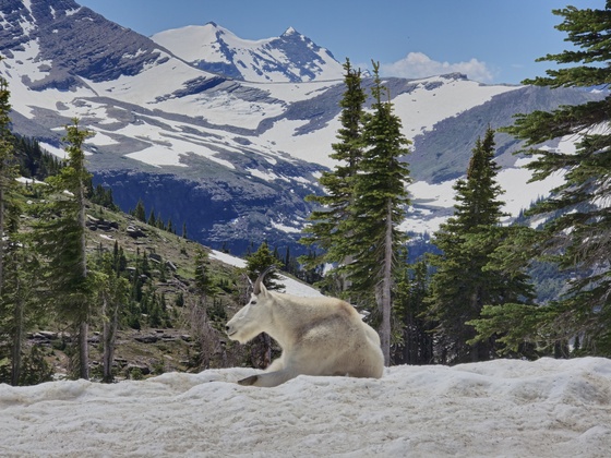 Glacier National Park