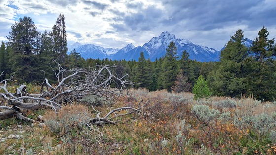 Grand Teton National Park