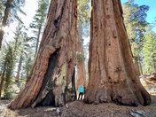 Yosemite National Park 