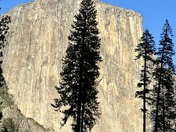 Yosemite National Park 